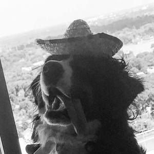 Meet your Posher, Matthew